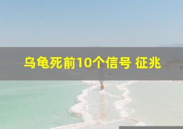 乌龟死前10个信号 征兆